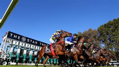 exotic horse racing bets|Exotic Horse Racing Bets (What They Are And How They Work) .